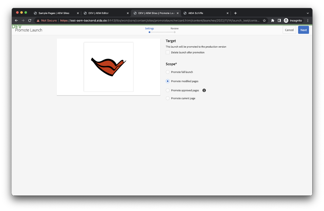 Promote Launch settings